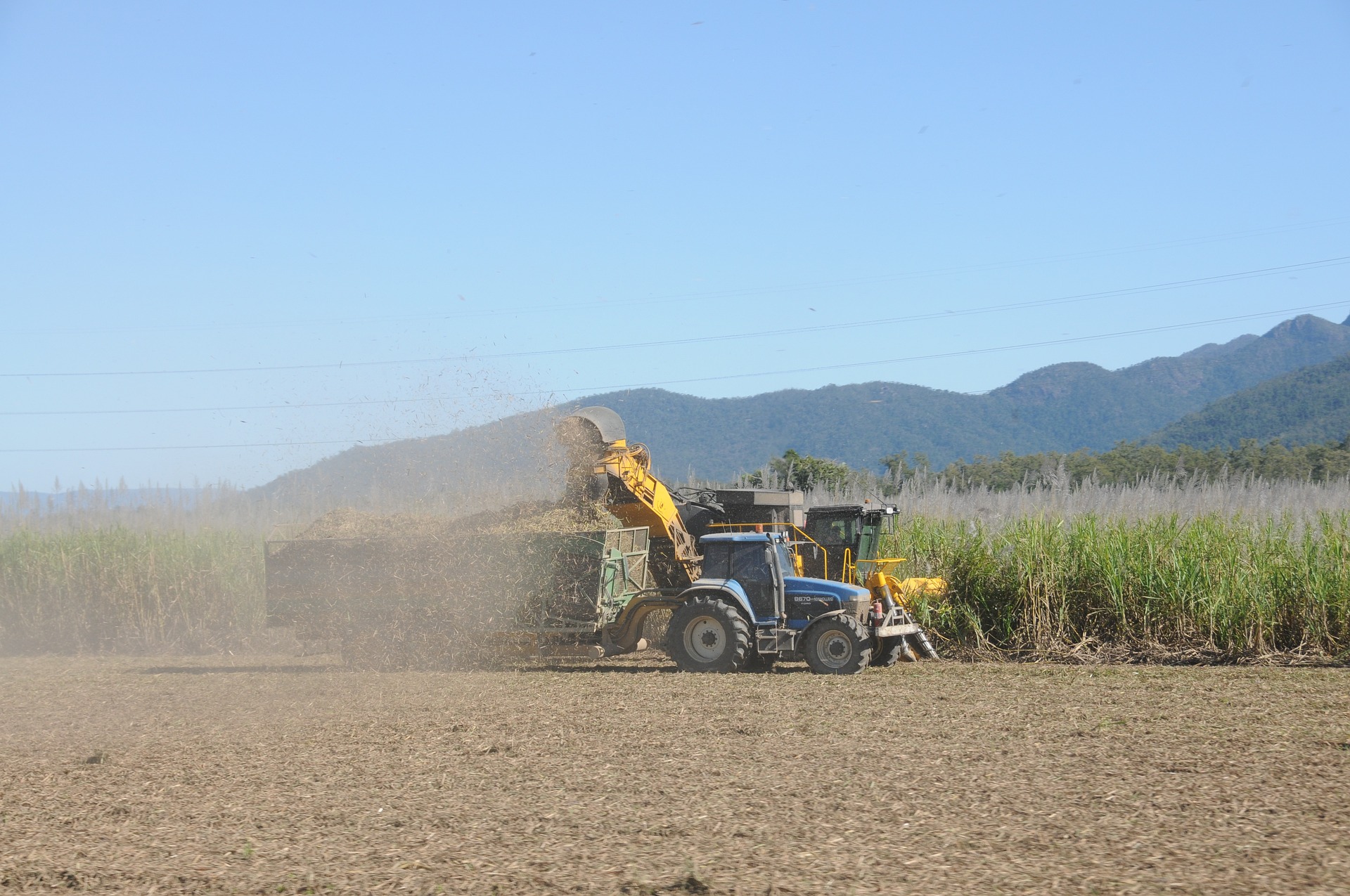 Tecnologia brasileira promete elevar em 120% a extração de açúcar para etanol 2G