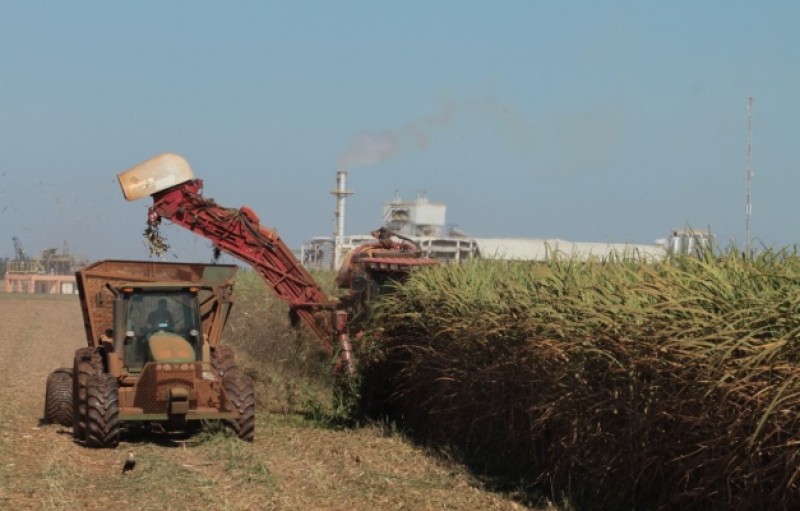 Goiás se destaca nas produções de cana-de-açúcar e etanol no Brasil