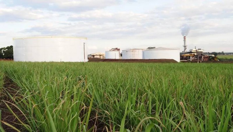 Produção de açúcar e etanol tem forte alta na 1ª quinzena de outubro